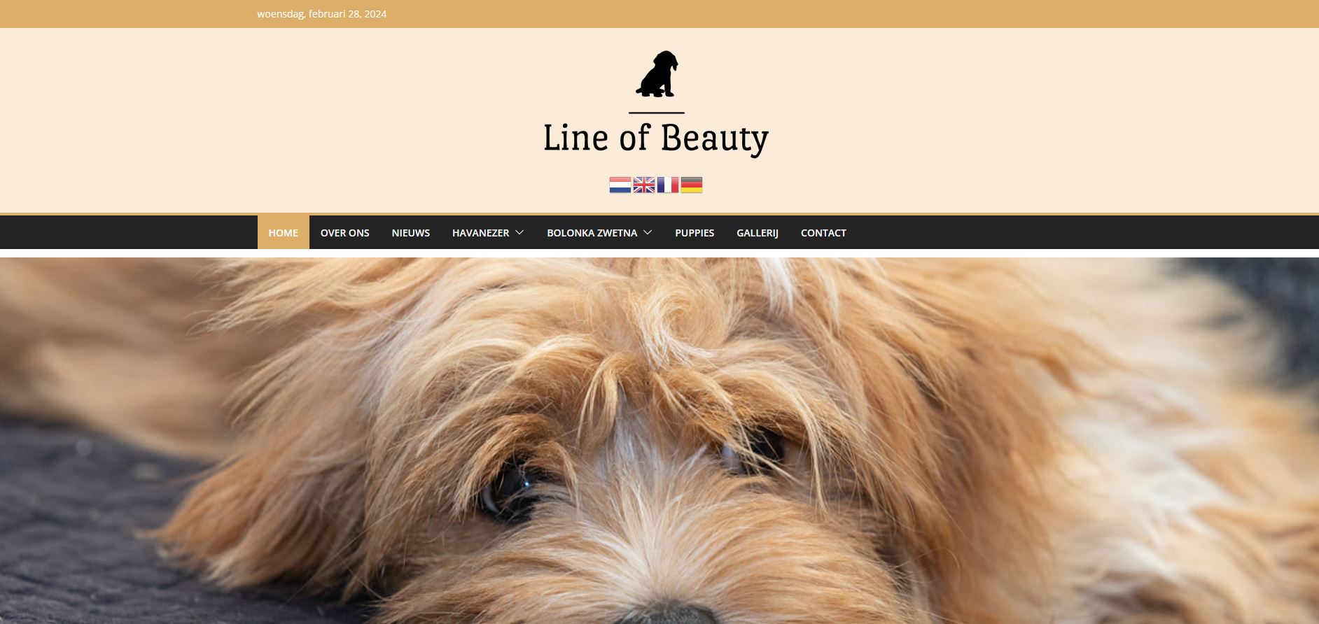 lineofbeauty