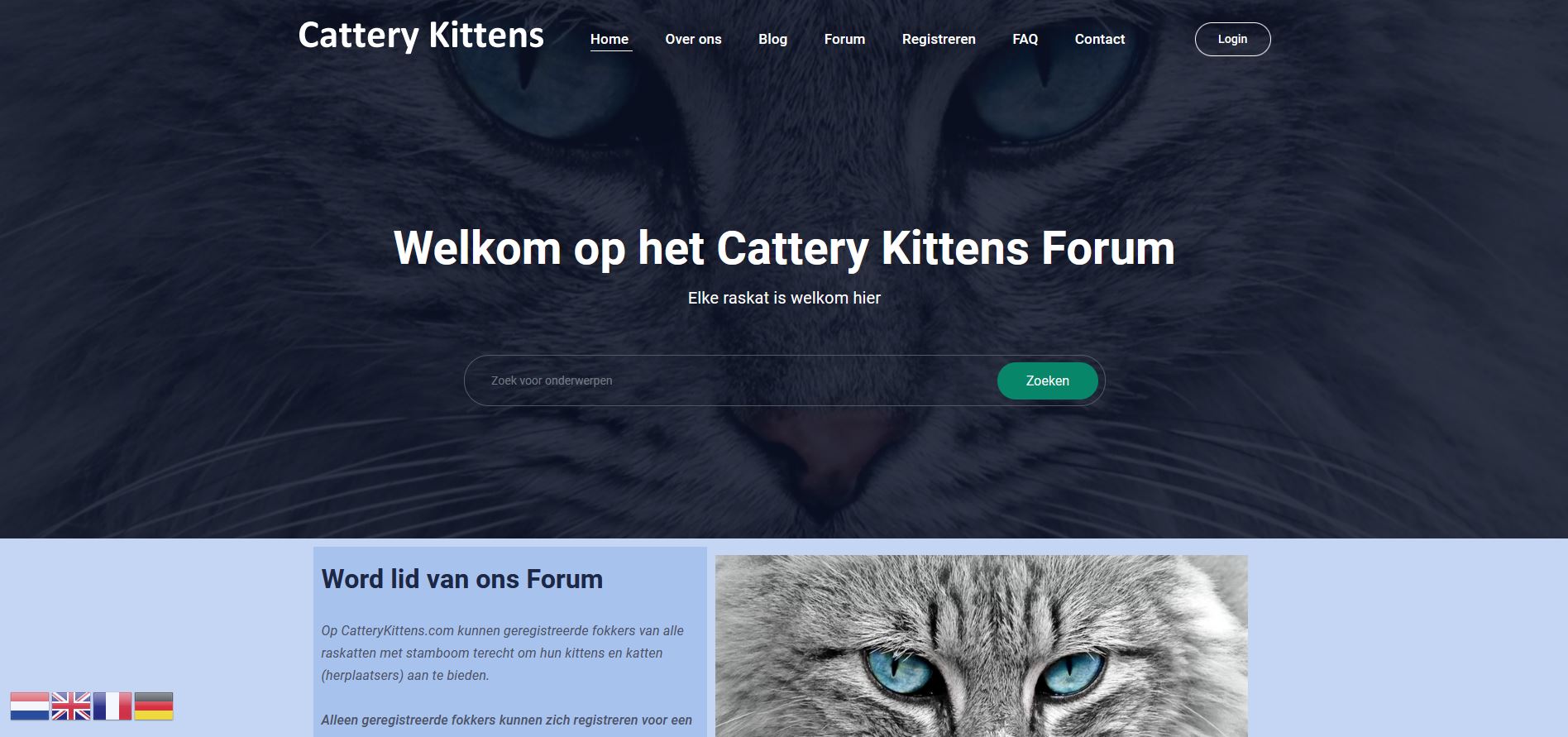 cattery