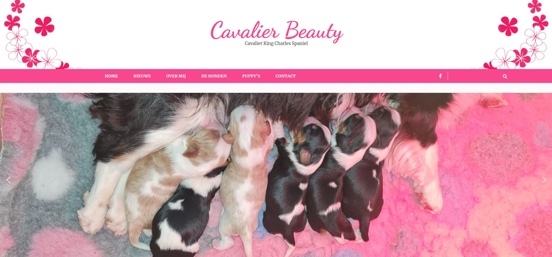 website