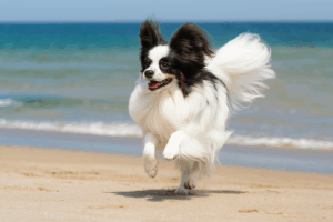 file_00000000616c624389c5f5f082a5639c (1)