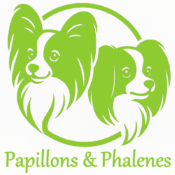 logo 1 1