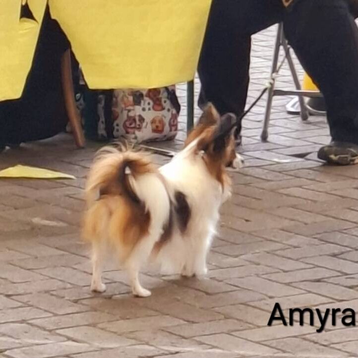 560567586_2571124559935901_7766103826265492226_n