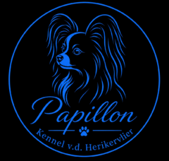 Papillon Kennel v.d. Herikervlier
