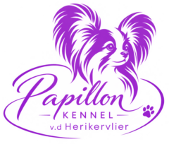 Papillon Kennel v.d. Herikervlier